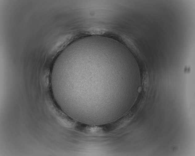 X0000113240501200909241550