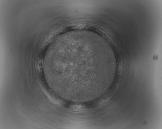 X0000113240503200909241550