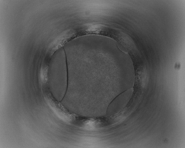 X0000113240504200909241550