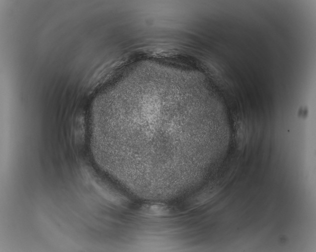 X0000113240506200909241550