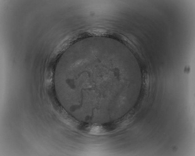 X0000113240507200909241550