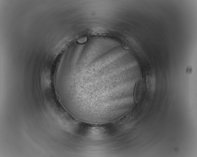 X0000113240508200909241550