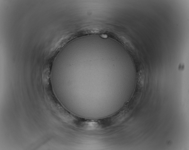 X0000113240509200909241550