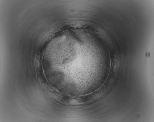 X0000113240510200909241550