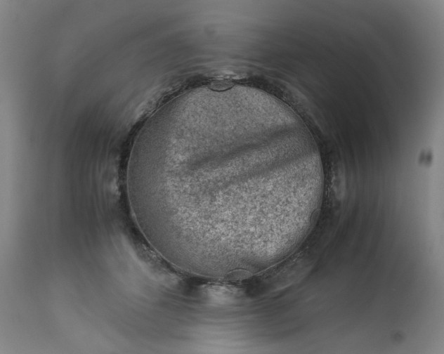 X0000113240512200909241550