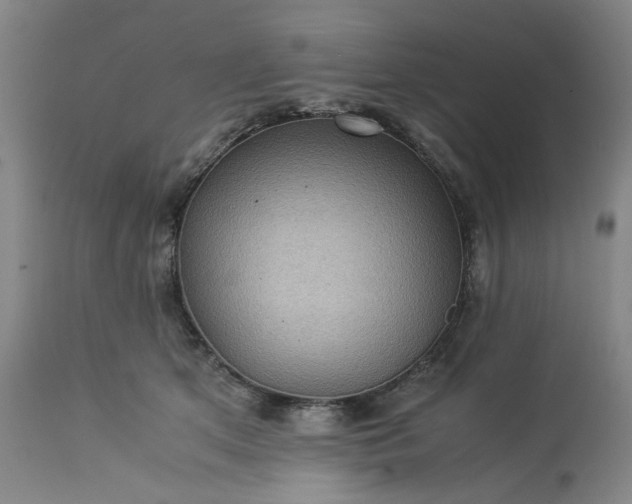 X0000113240513200909241550