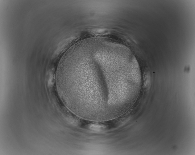 X0000113240515200909241550