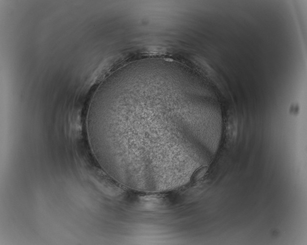 X0000113240516200909241550