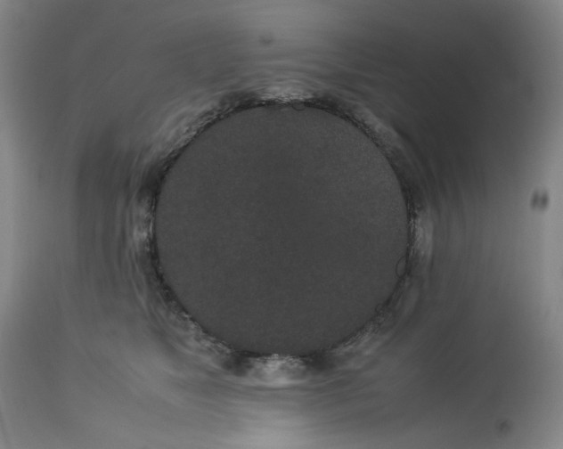 X0000113240517200909241549