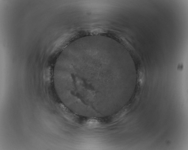 X0000113240519200909241549