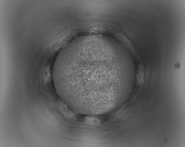 X0000113240520200909241549