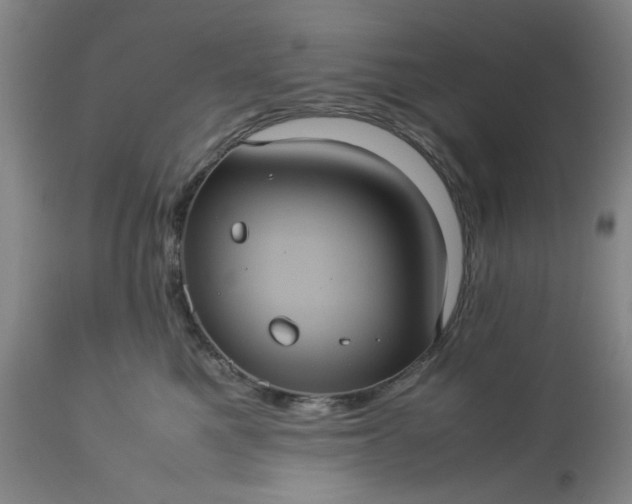 X0000113240521200909241549