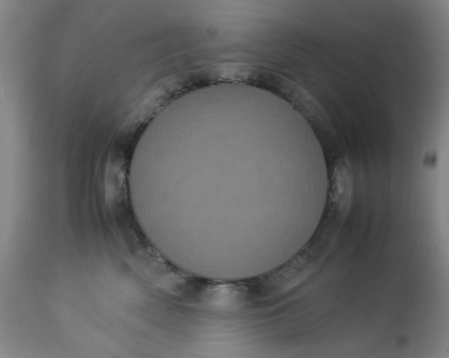 X0000113240522200909241549