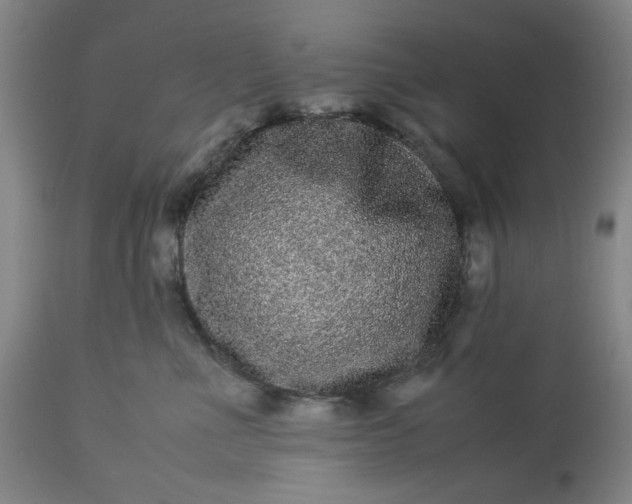 X0000113240523200909241549