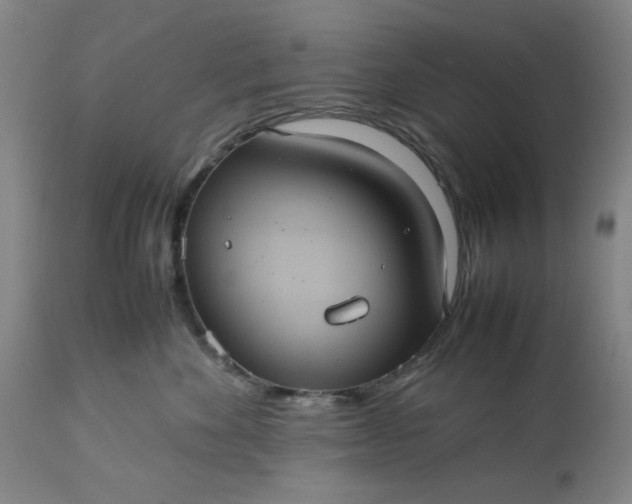 X0000113240524200909241549