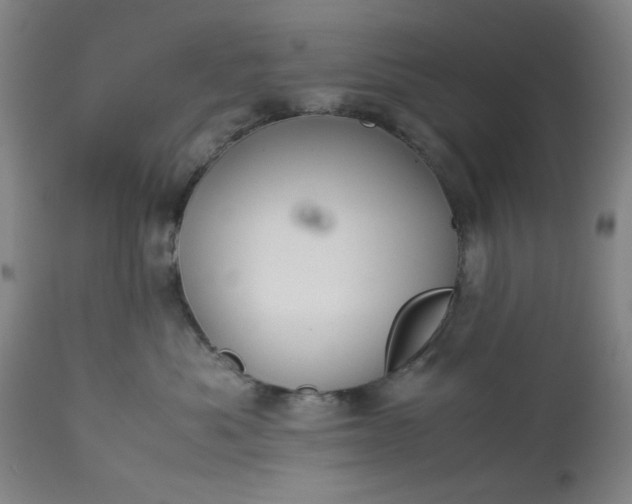 X0000113240525200909241549