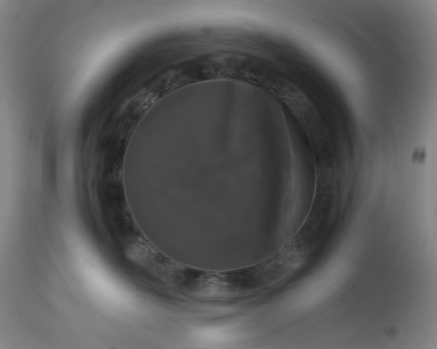 X0000113240526200909241549