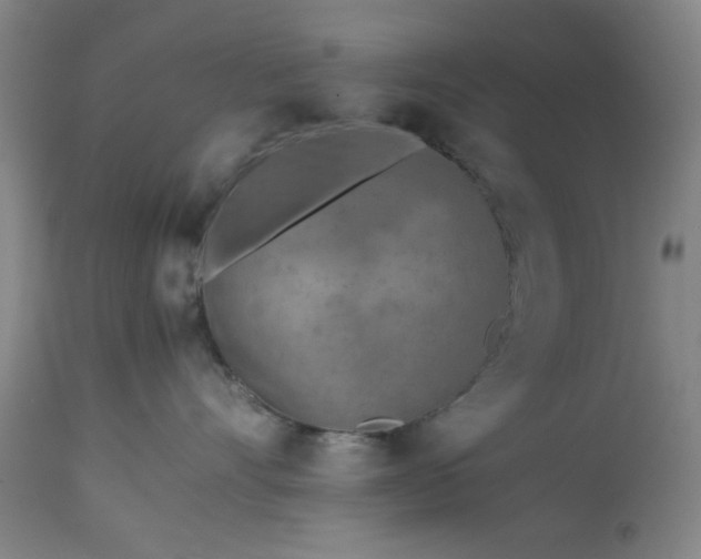 X0000113240528200909241549