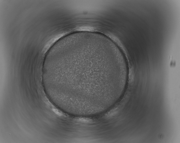 X0000113240529200909241549