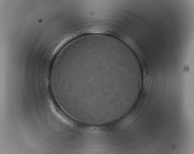 X0000113240530200909241549