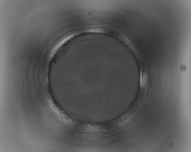 X0000113240531200909241549