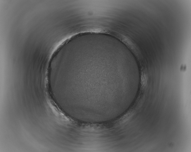 X0000113240532200909241549