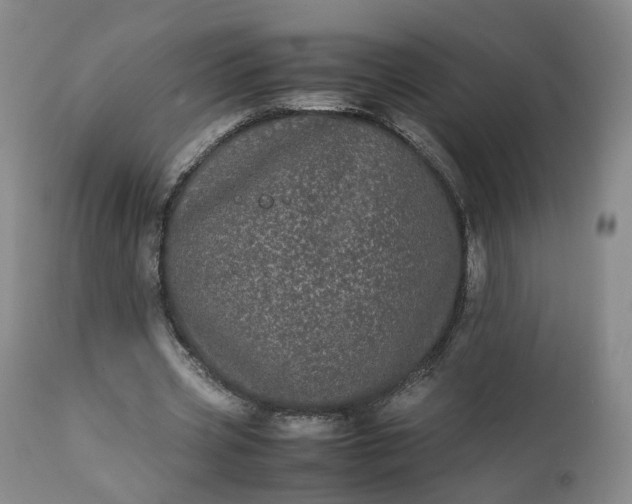 X0000113240533200909241549