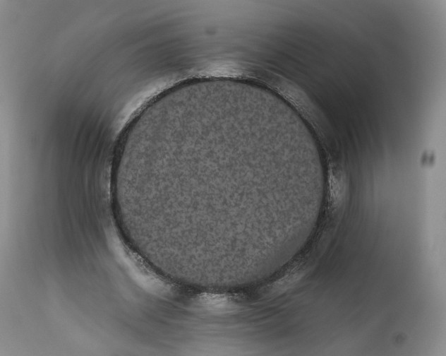 X0000113240534200909241549