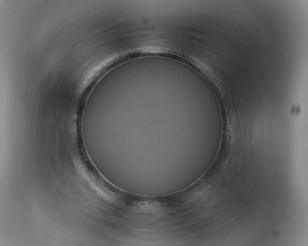 X0000113240535200909241549