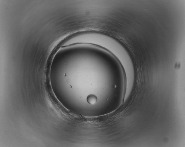 X0000113240536200909241549