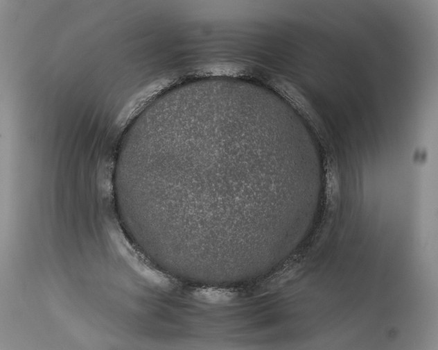 X0000113240537200909241549