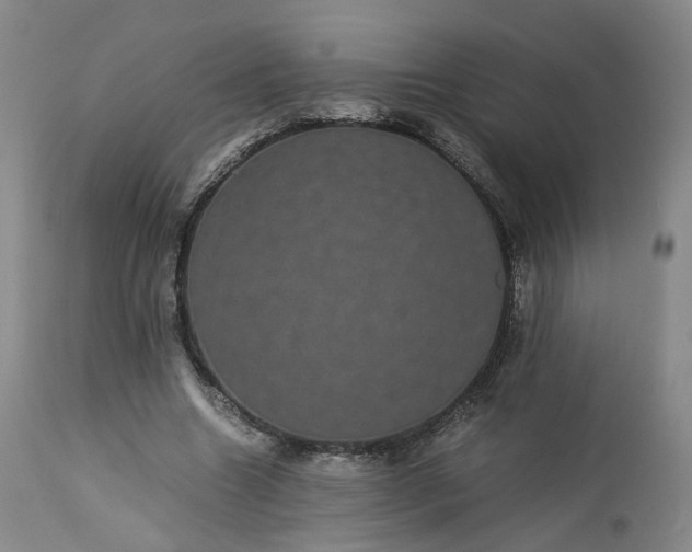 X0000113240538200909241549