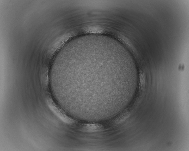 X0000113240541200909241549