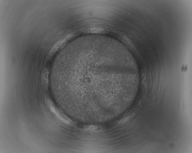 X0000113240542200909241549