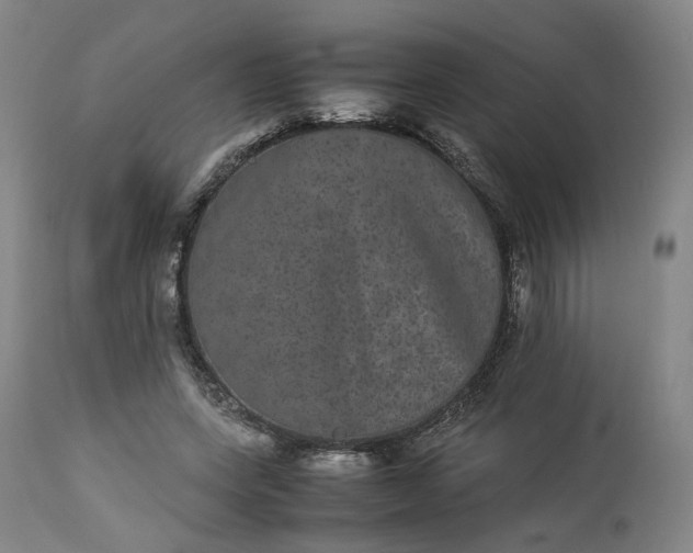 X0000113240543200909241549