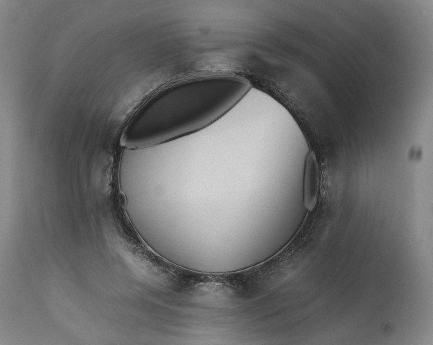 X0000113240544200909241549