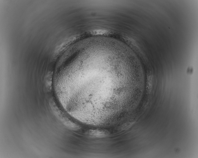 X0000113240545200909241549