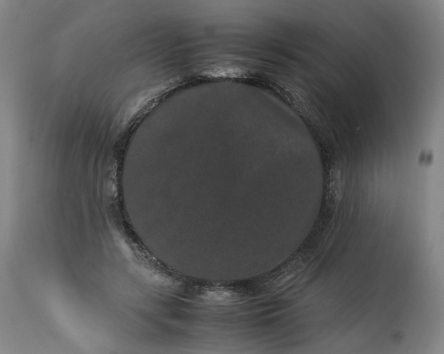 X0000113240547200909241549