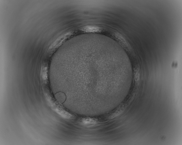 X0000113240549200909241549