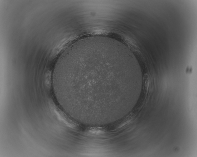 X0000113240550200909241549