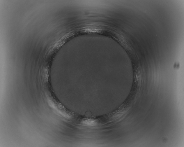 X0000113240551200909241549