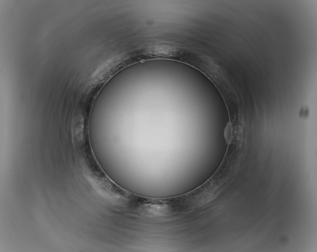 X0000113240552200909241549