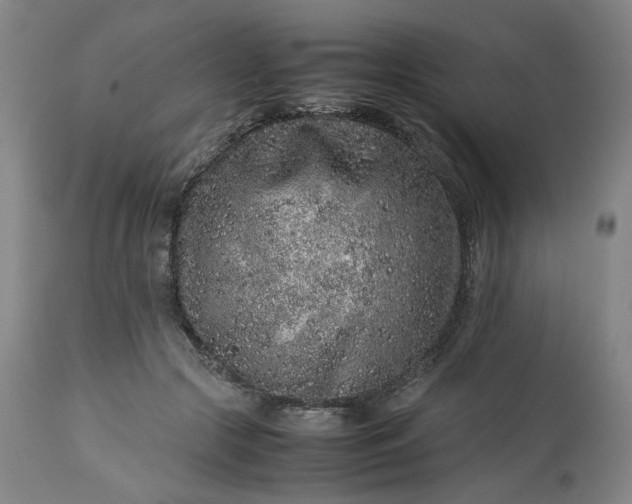 X0000113240553200909241549