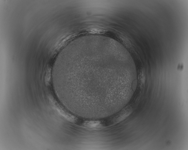 X0000113240554200909241549