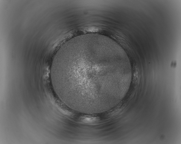 X0000113240555200909241549