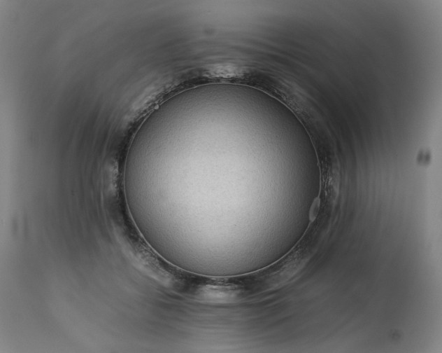 X0000113240556200909241549