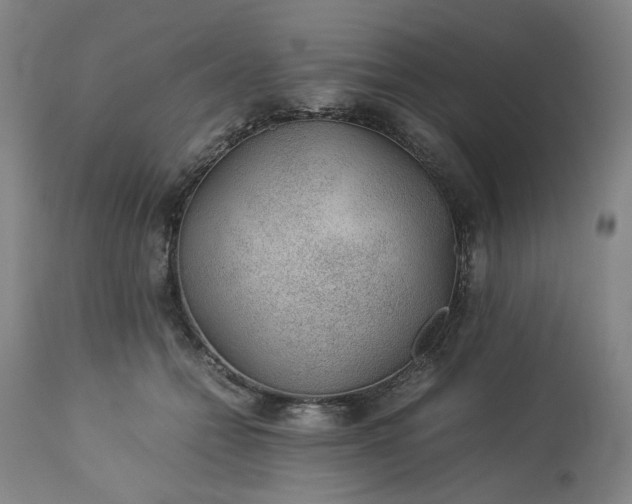 X0000113240558200909241549