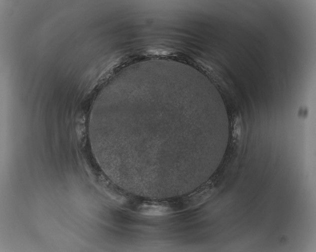 X0000113240559200909241549