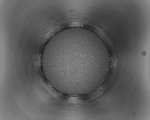 X0000113240560200909241549