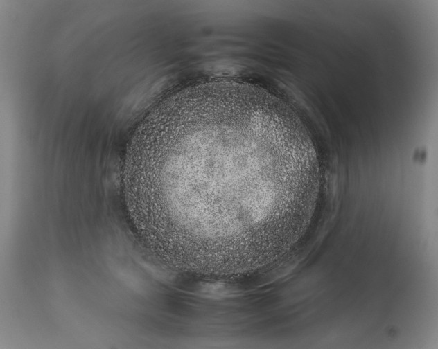 X0000113240561200909241549